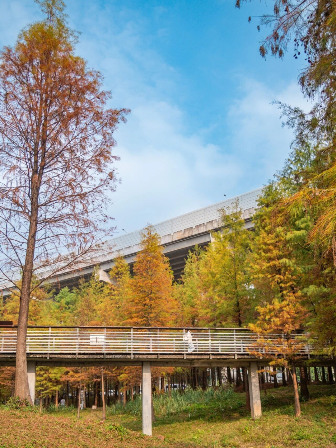 640?wx_fmt=png&from=appmsg#imgIndex=121