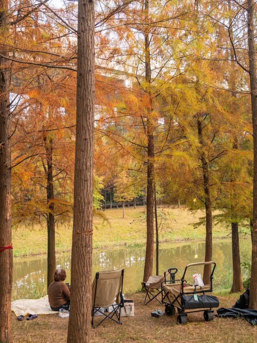 640?wx_fmt=png&from=appmsg#imgIndex=122