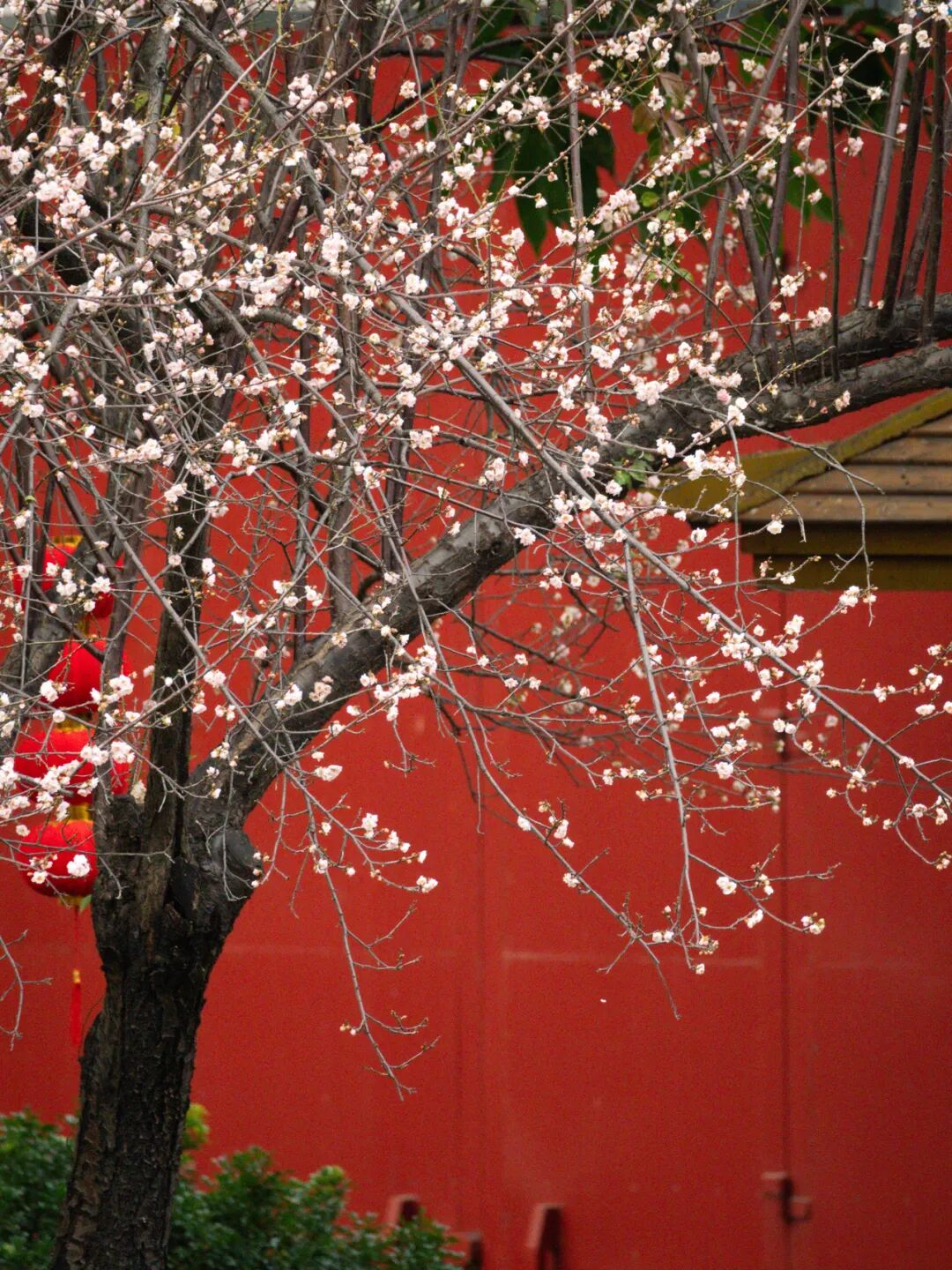 640?wx_fmt=png&from=appmsg#imgIndex=23