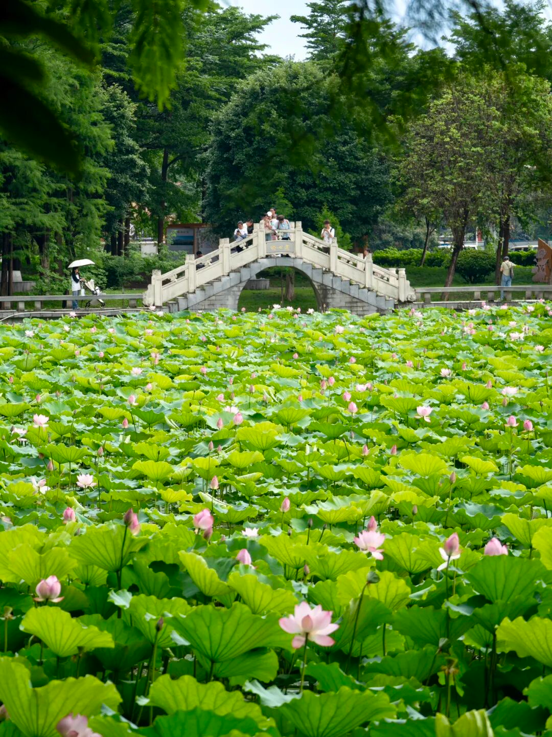 640?wx_fmt=png&from=appmsg#imgIndex=54