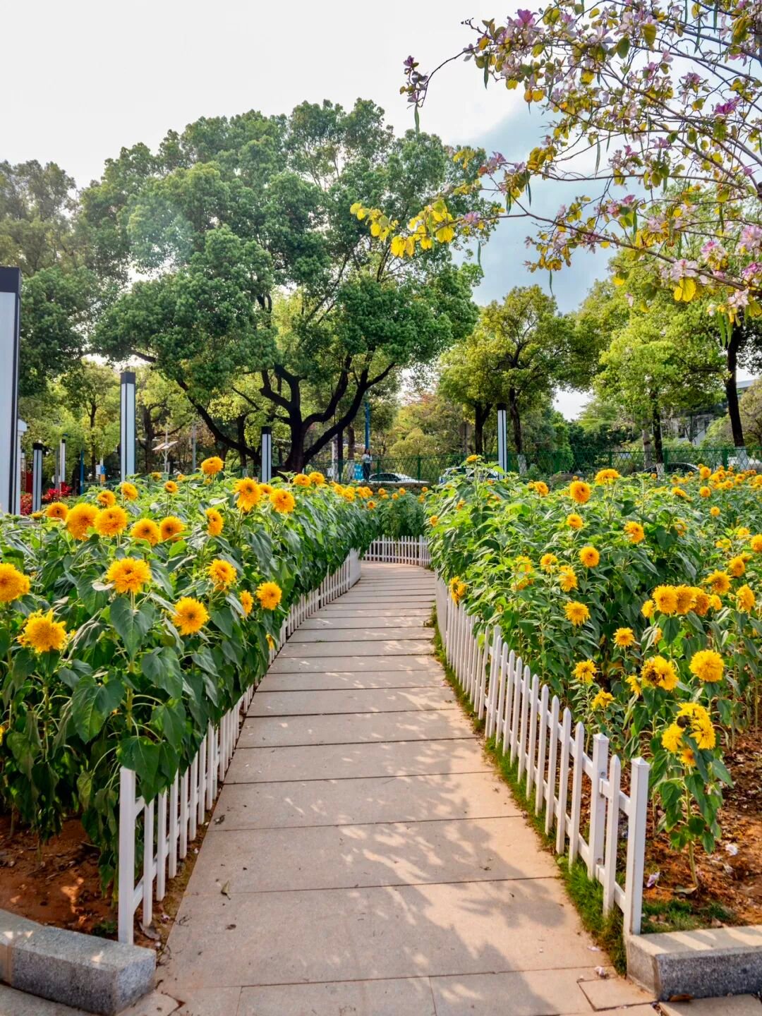 640?wx_fmt=png&from=appmsg#imgIndex=49