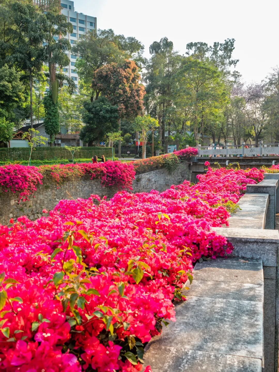 640?wx_fmt=png&from=appmsg#imgIndex=60