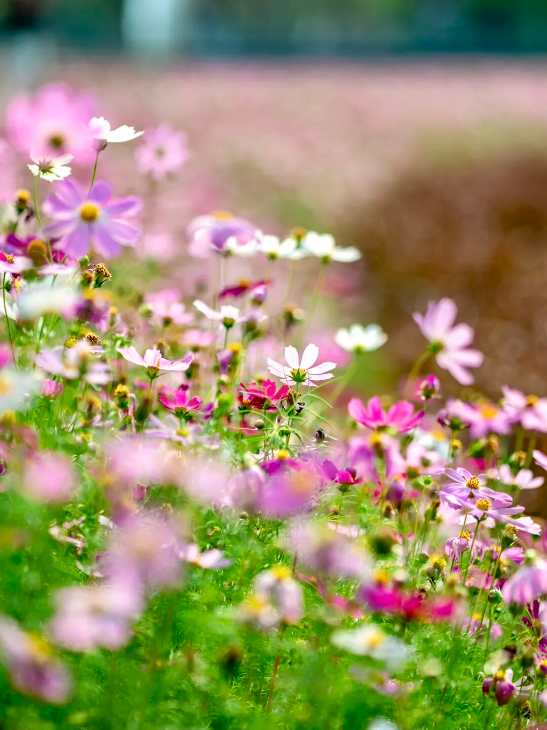 640?wx_fmt=png&from=appmsg#imgIndex=46