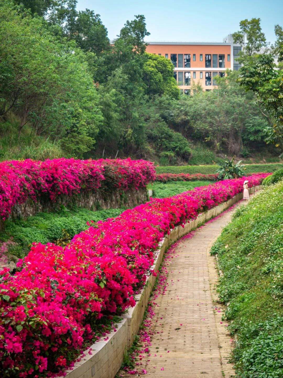 640?wx_fmt=png&from=appmsg#imgIndex=58