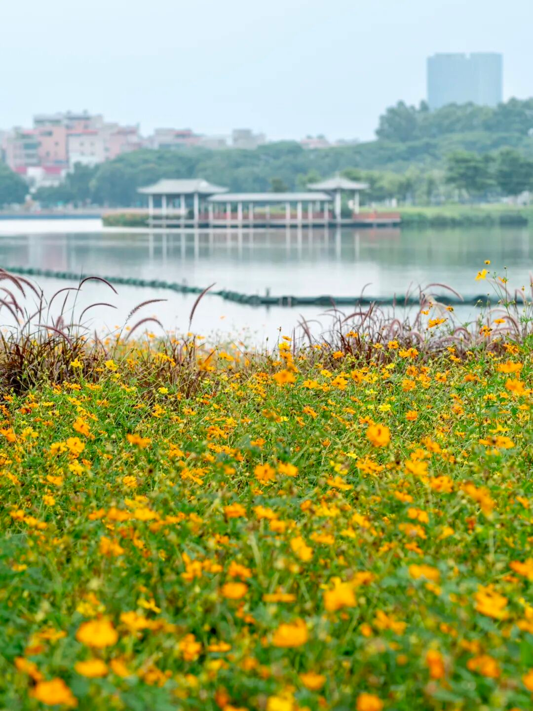 640?wx_fmt=png&from=appmsg#imgIndex=67