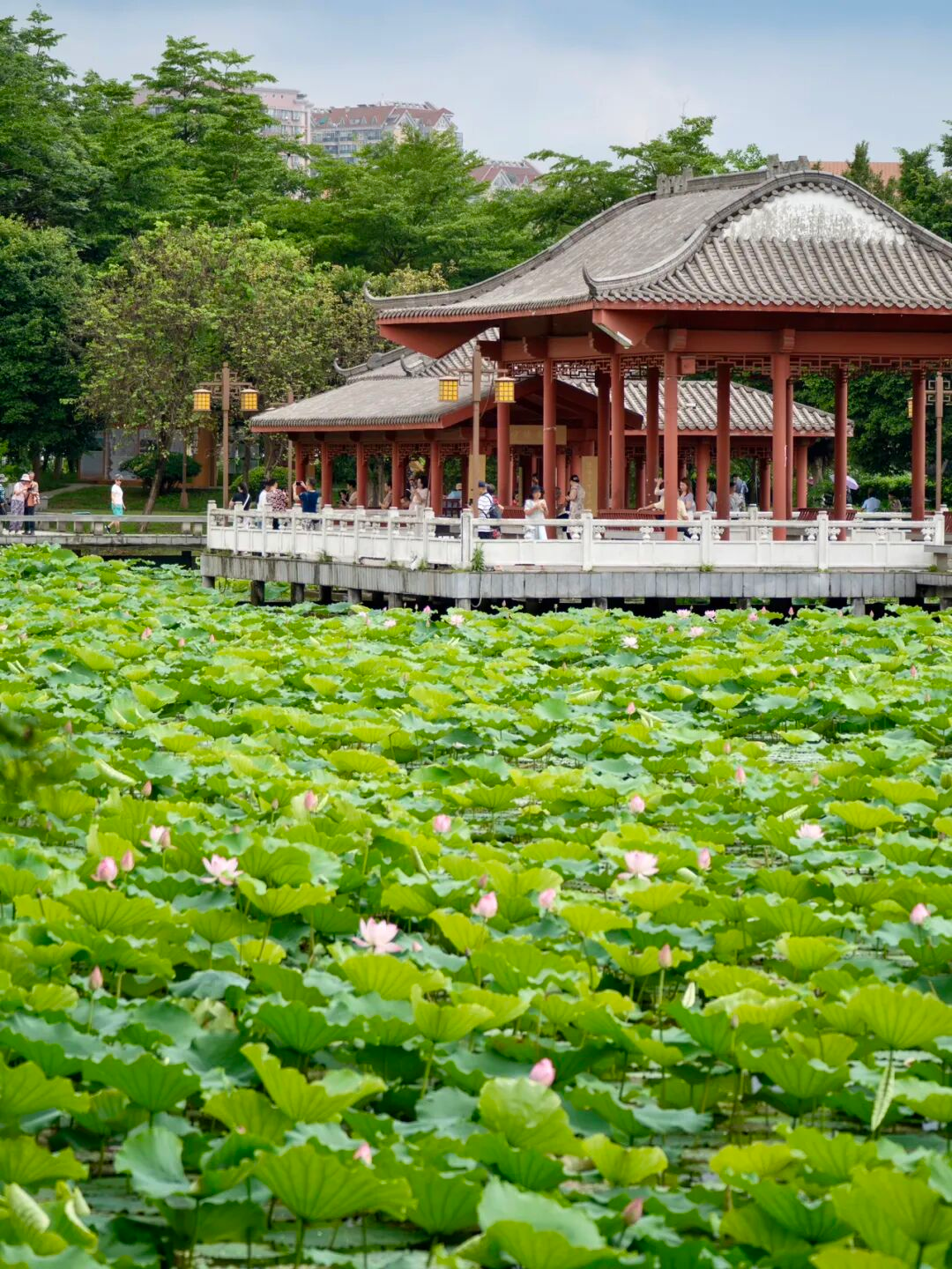 640?wx_fmt=png&from=appmsg#imgIndex=53