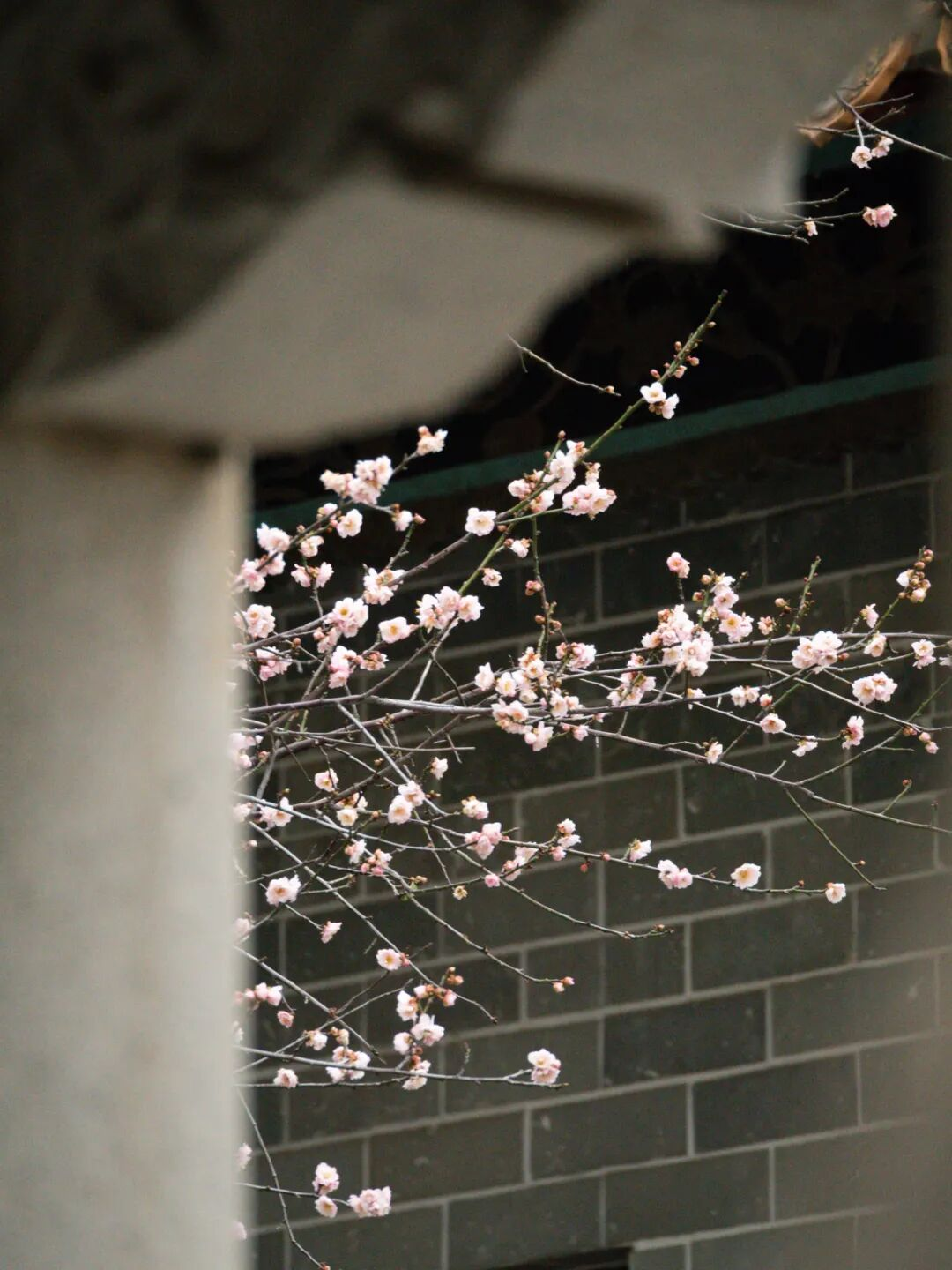 640?wx_fmt=png&from=appmsg#imgIndex=26