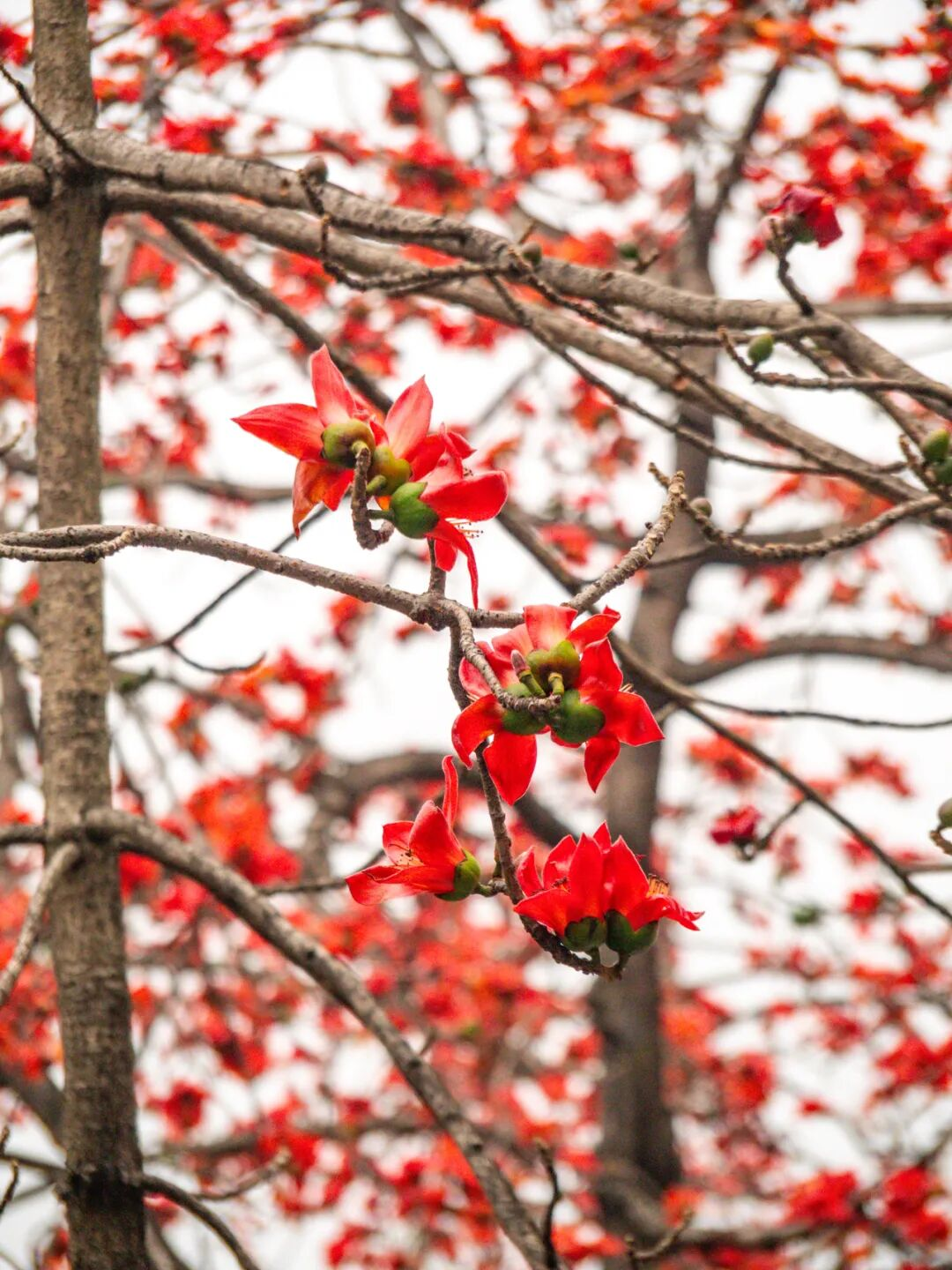 640?wx_fmt=png&from=appmsg#imgIndex=30