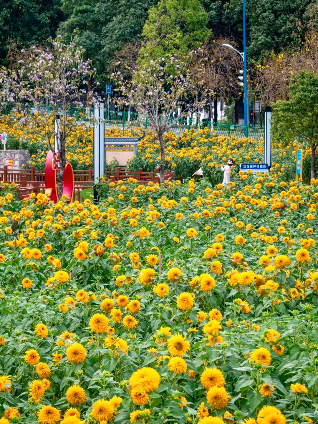 640?wx_fmt=png&from=appmsg#imgIndex=47