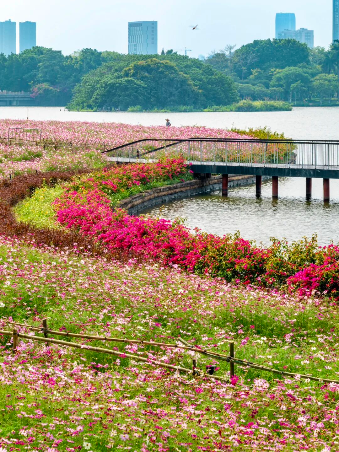 640?wx_fmt=png&from=appmsg#imgIndex=44