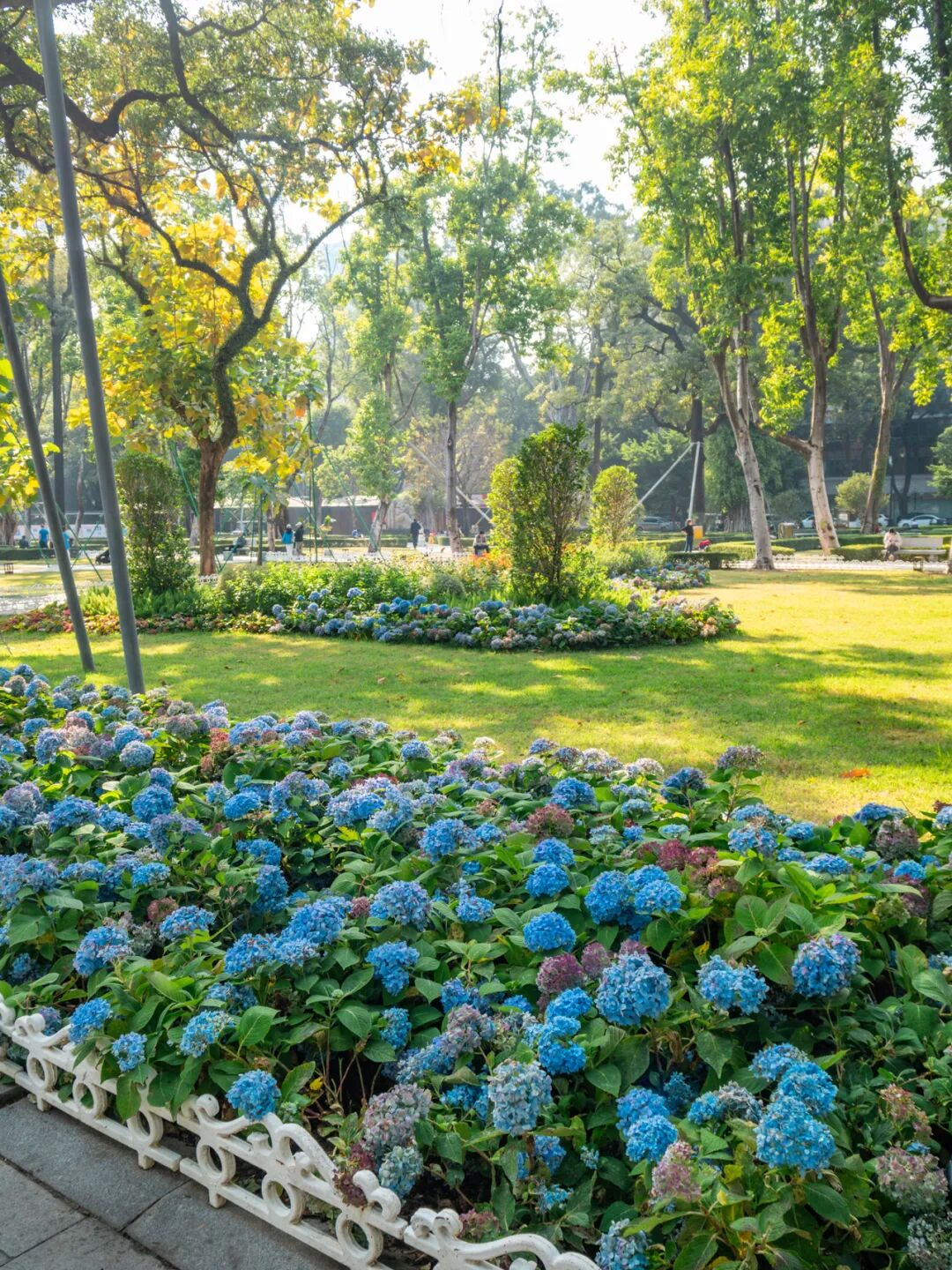 640?wx_fmt=png&from=appmsg#imgIndex=8