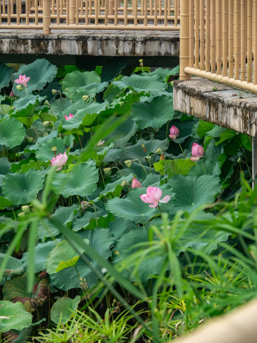 640?wx_fmt=png&from=appmsg#imgIndex=75