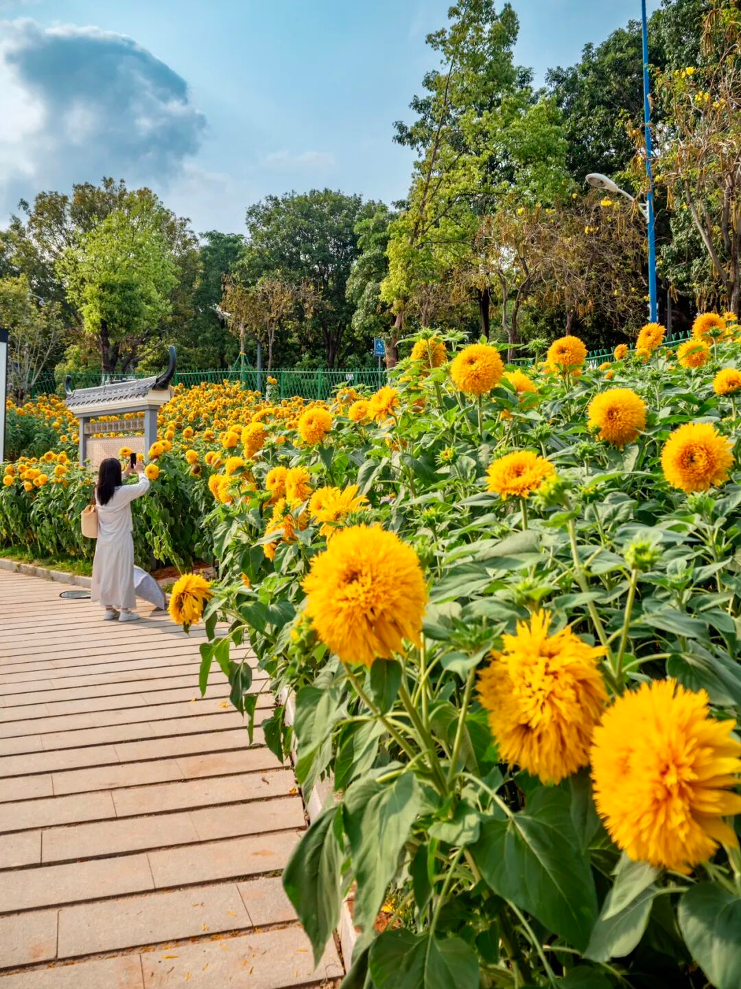 640?wx_fmt=png&from=appmsg#imgIndex=48