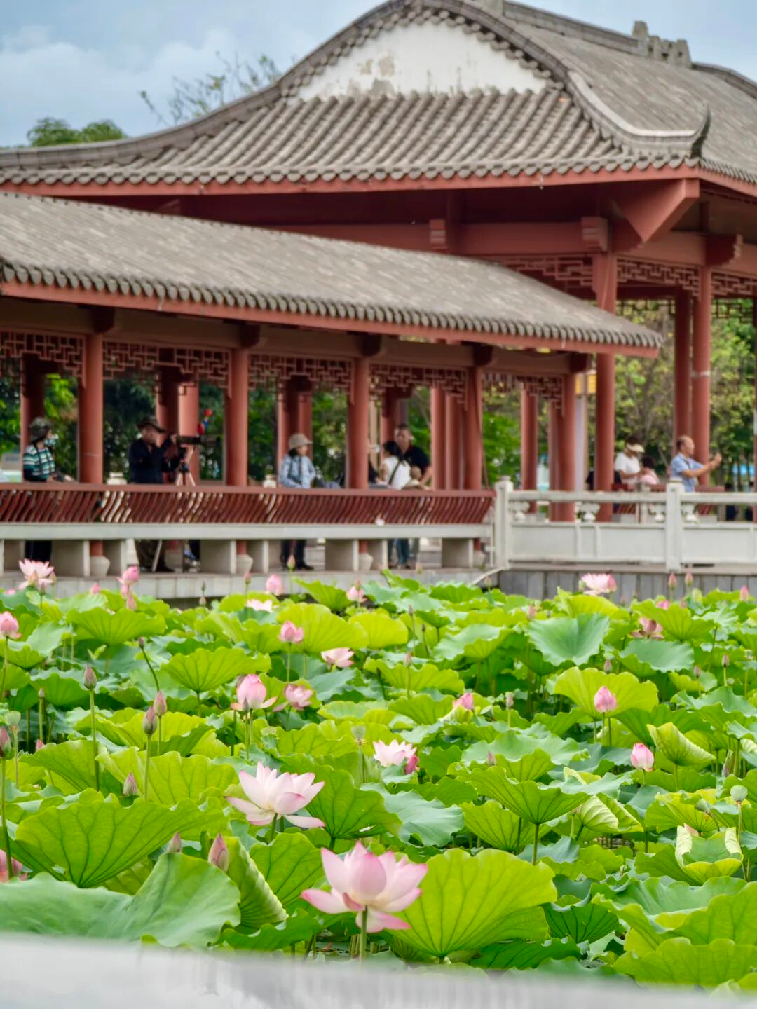 640?wx_fmt=png&from=appmsg#imgIndex=55