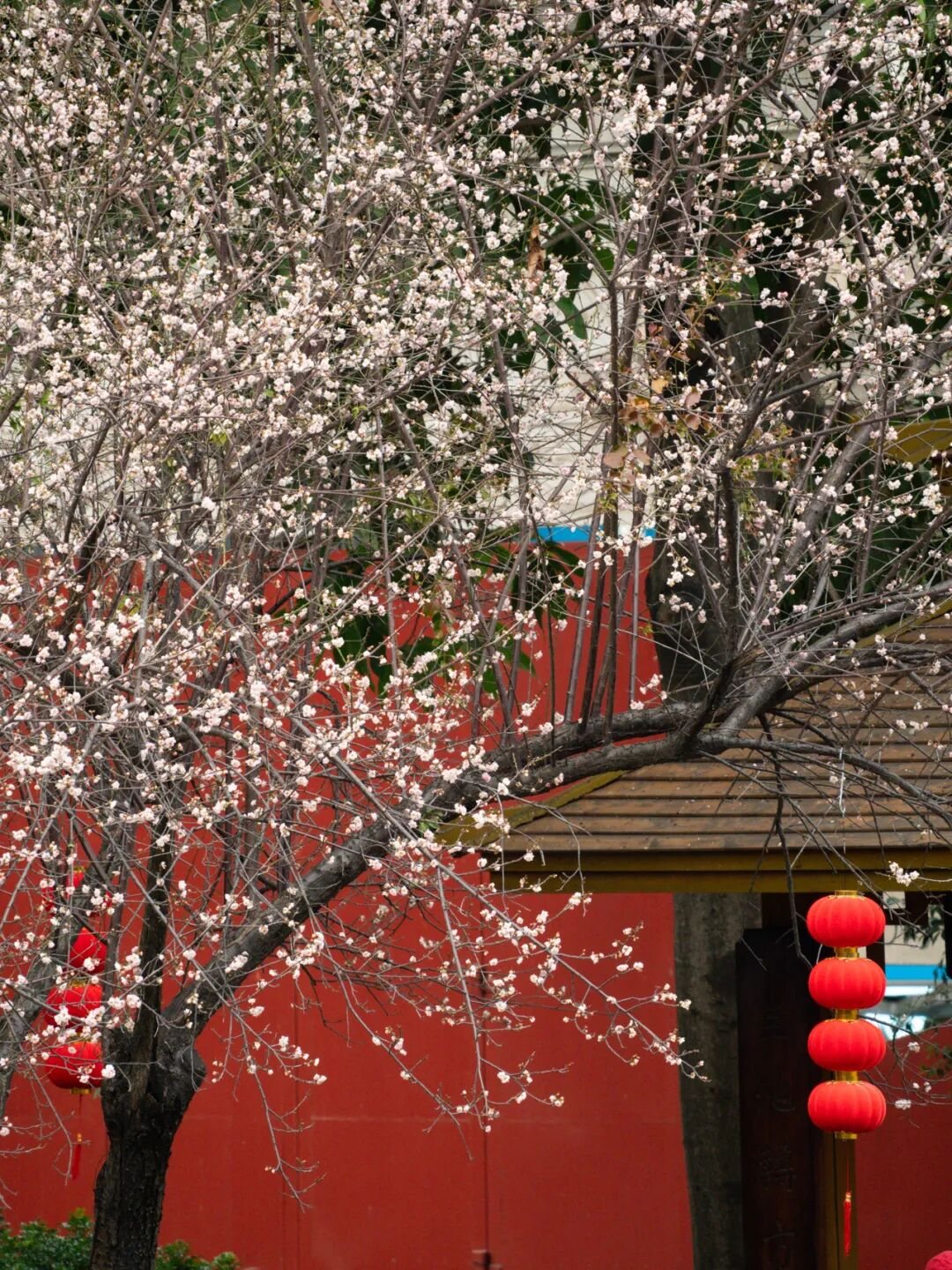 640?wx_fmt=png&from=appmsg#imgIndex=25