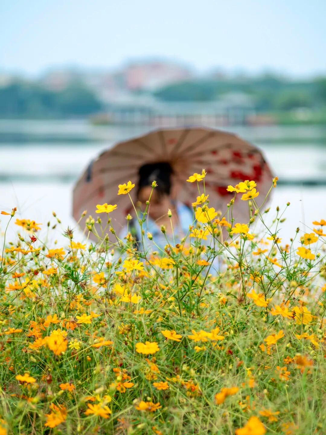 640?wx_fmt=png&from=appmsg#imgIndex=68