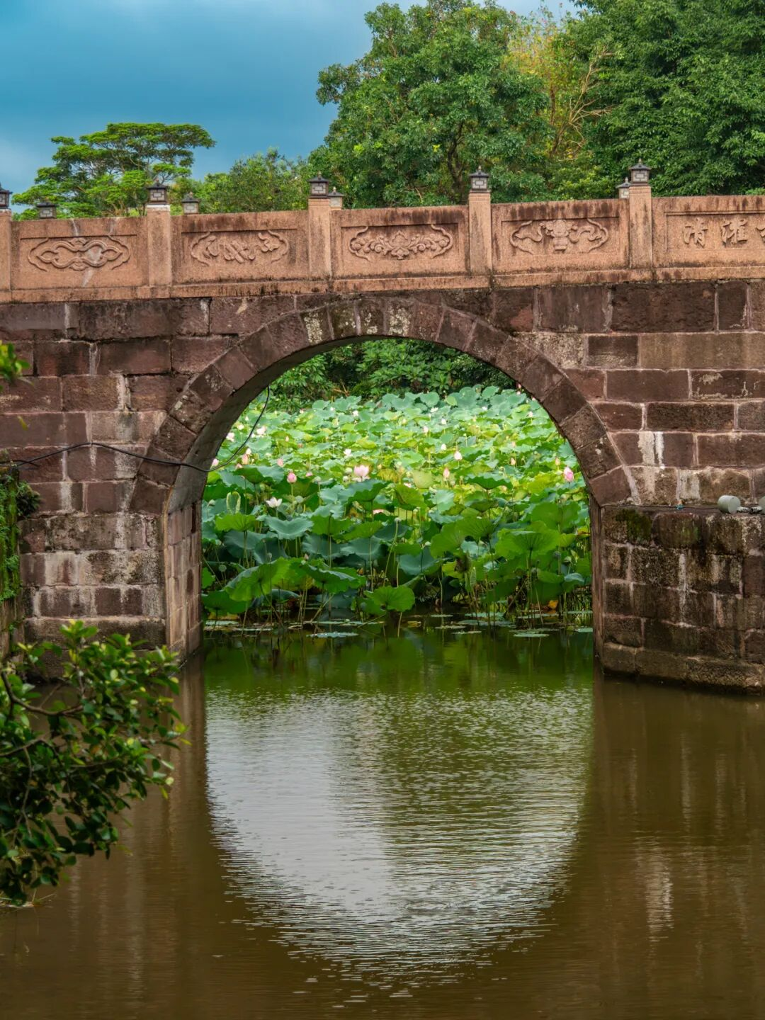 640?wx_fmt=png&from=appmsg#imgIndex=74