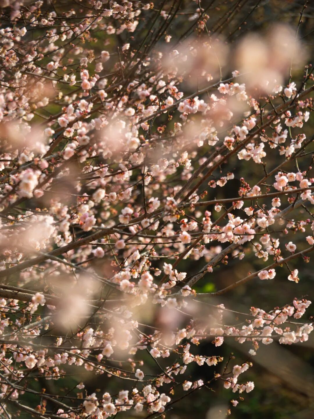 640?wx_fmt=png&from=appmsg#imgIndex=10