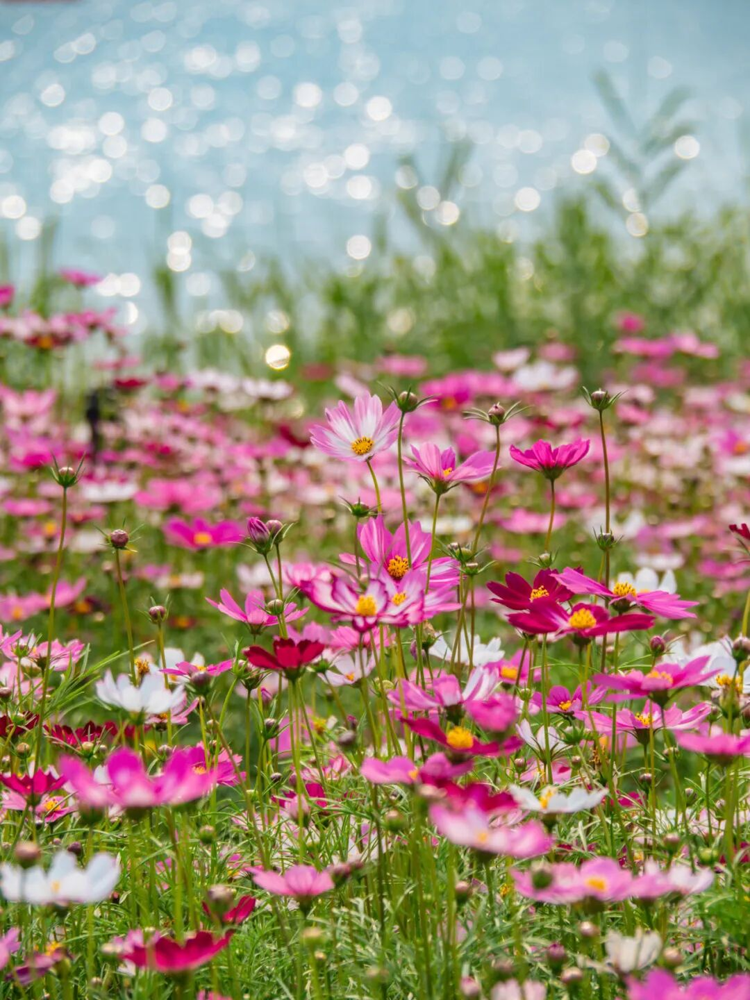 640?wx_fmt=png&from=appmsg#imgIndex=33