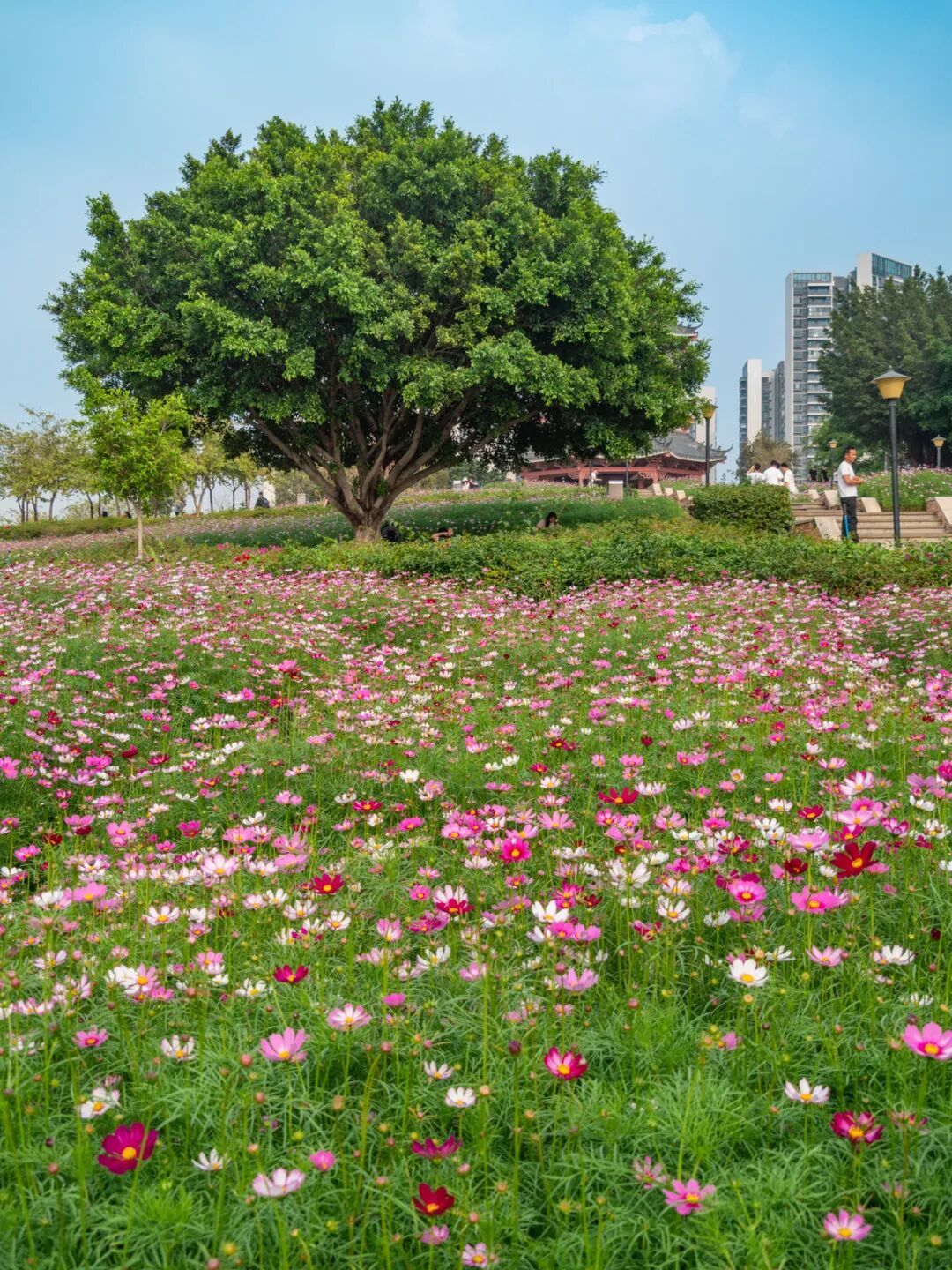 640?wx_fmt=png&from=appmsg#imgIndex=36