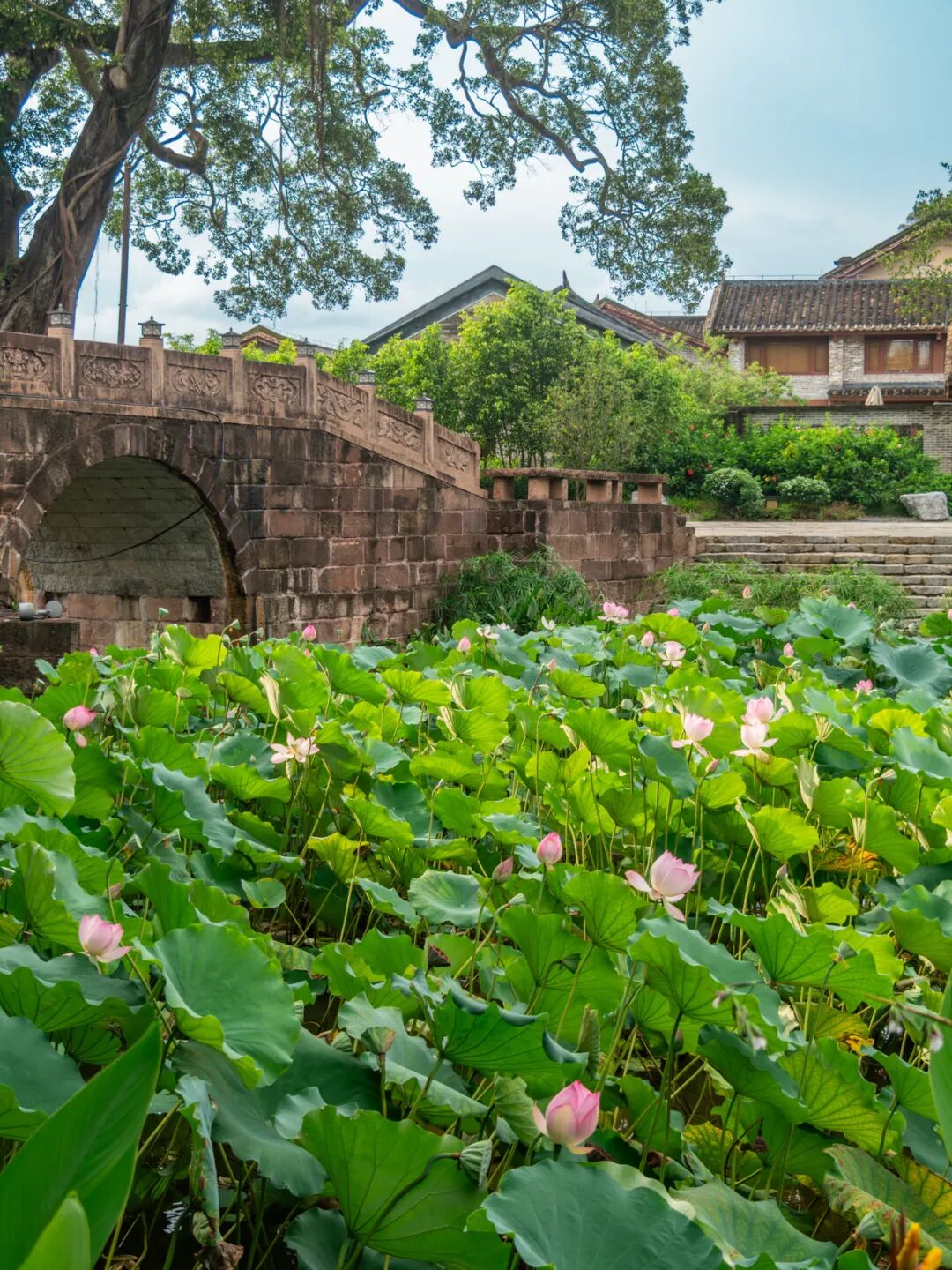 640?wx_fmt=png&from=appmsg#imgIndex=73