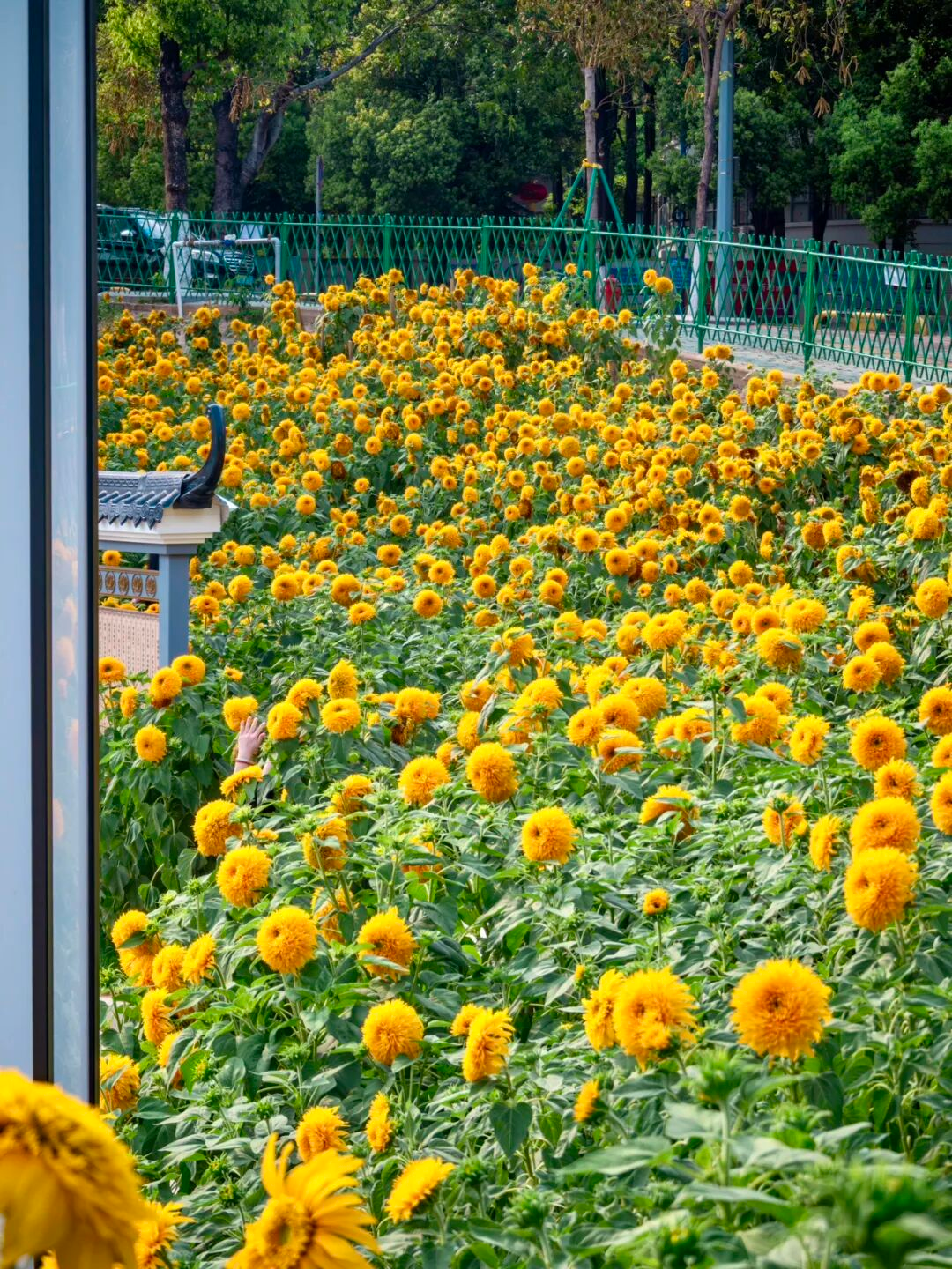 640?wx_fmt=png&from=appmsg#imgIndex=50