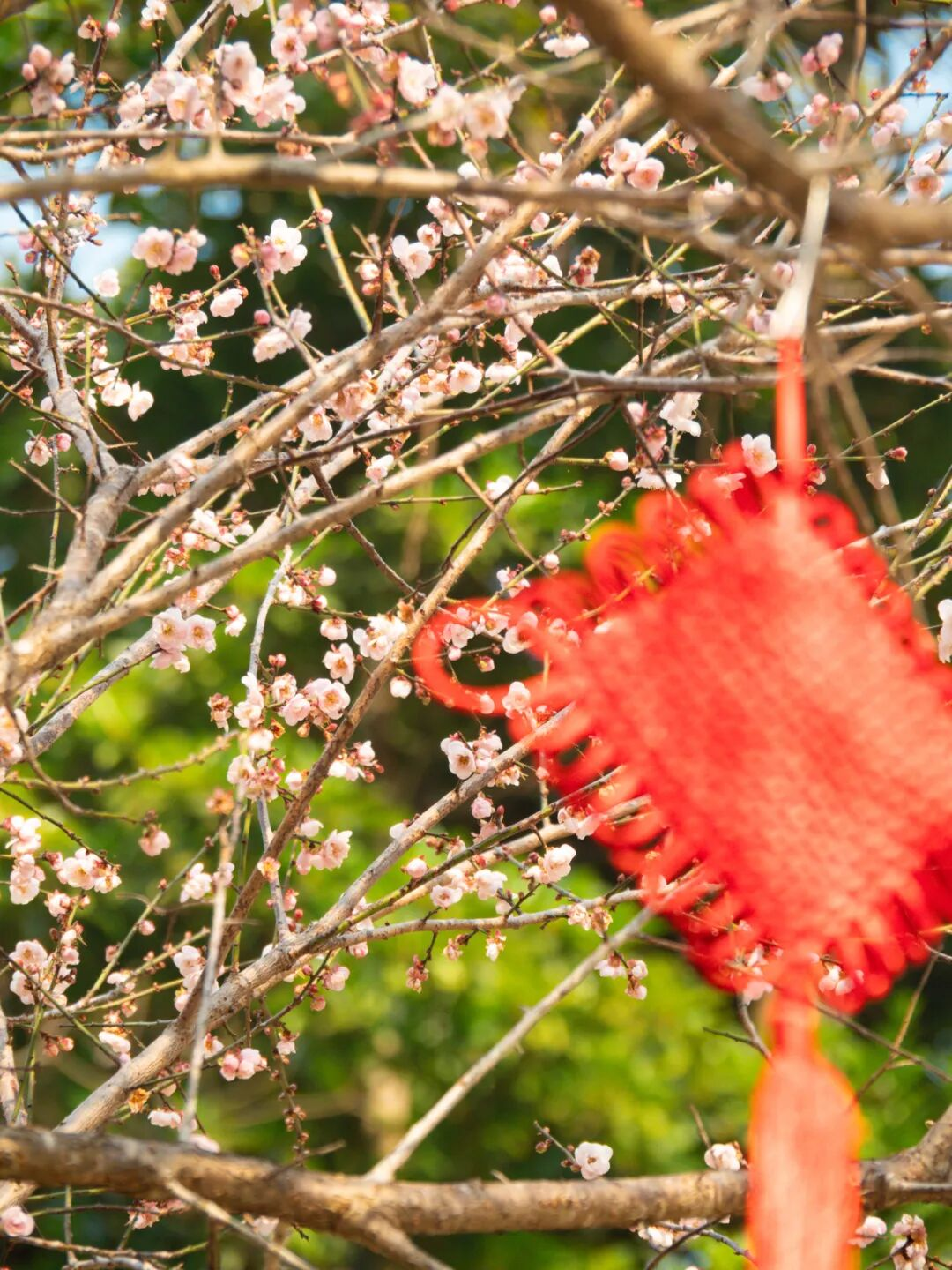 640?wx_fmt=png&from=appmsg#imgIndex=12