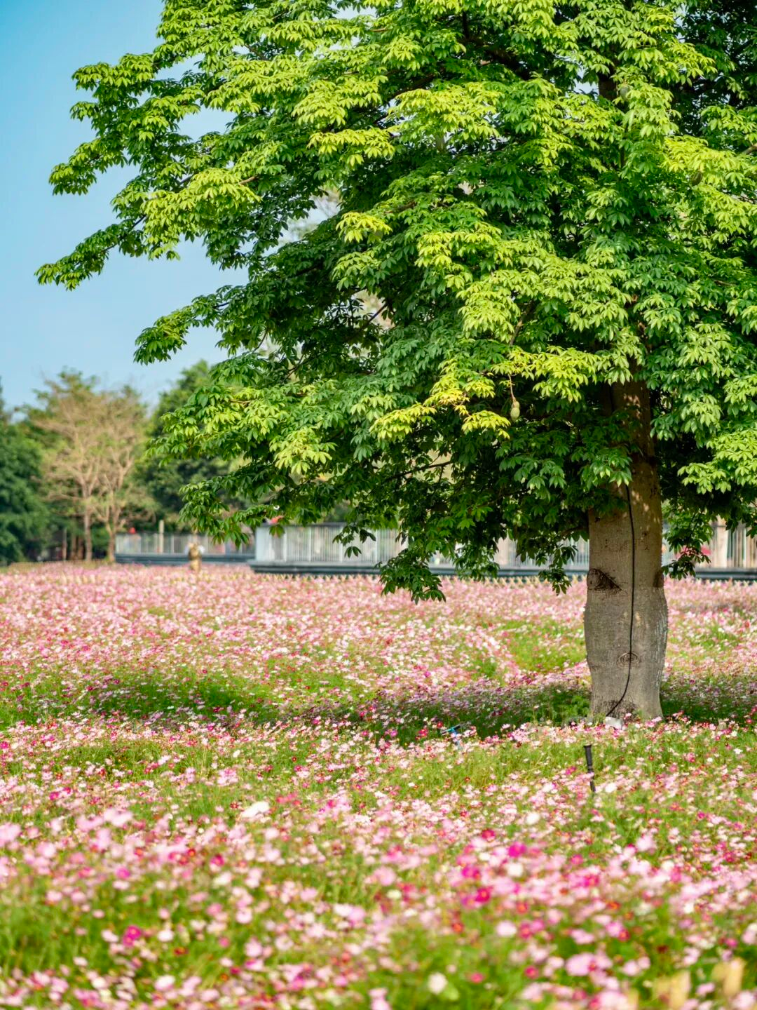 640?wx_fmt=png&from=appmsg#imgIndex=45