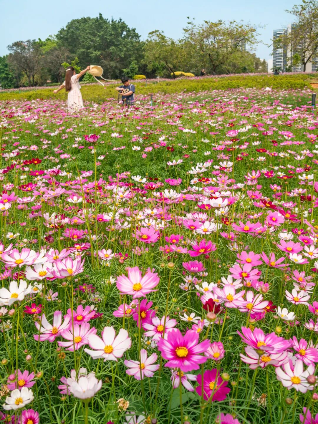 640?wx_fmt=png&from=appmsg#imgIndex=34