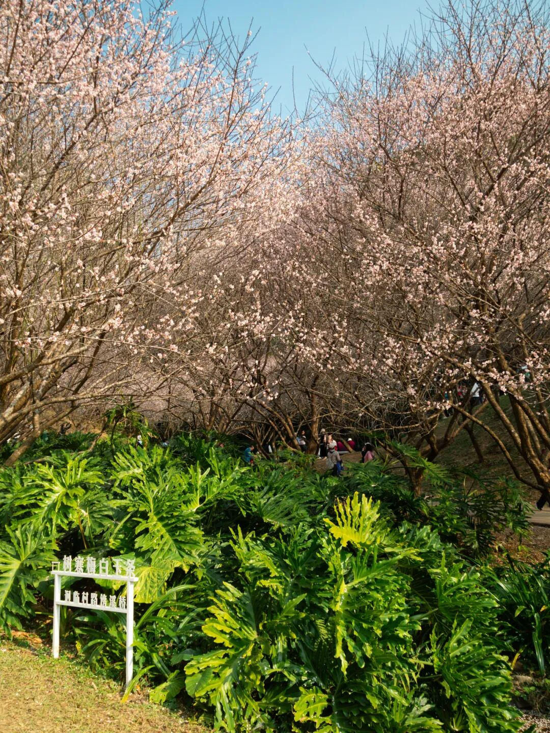 640?wx_fmt=png&from=appmsg#imgIndex=13