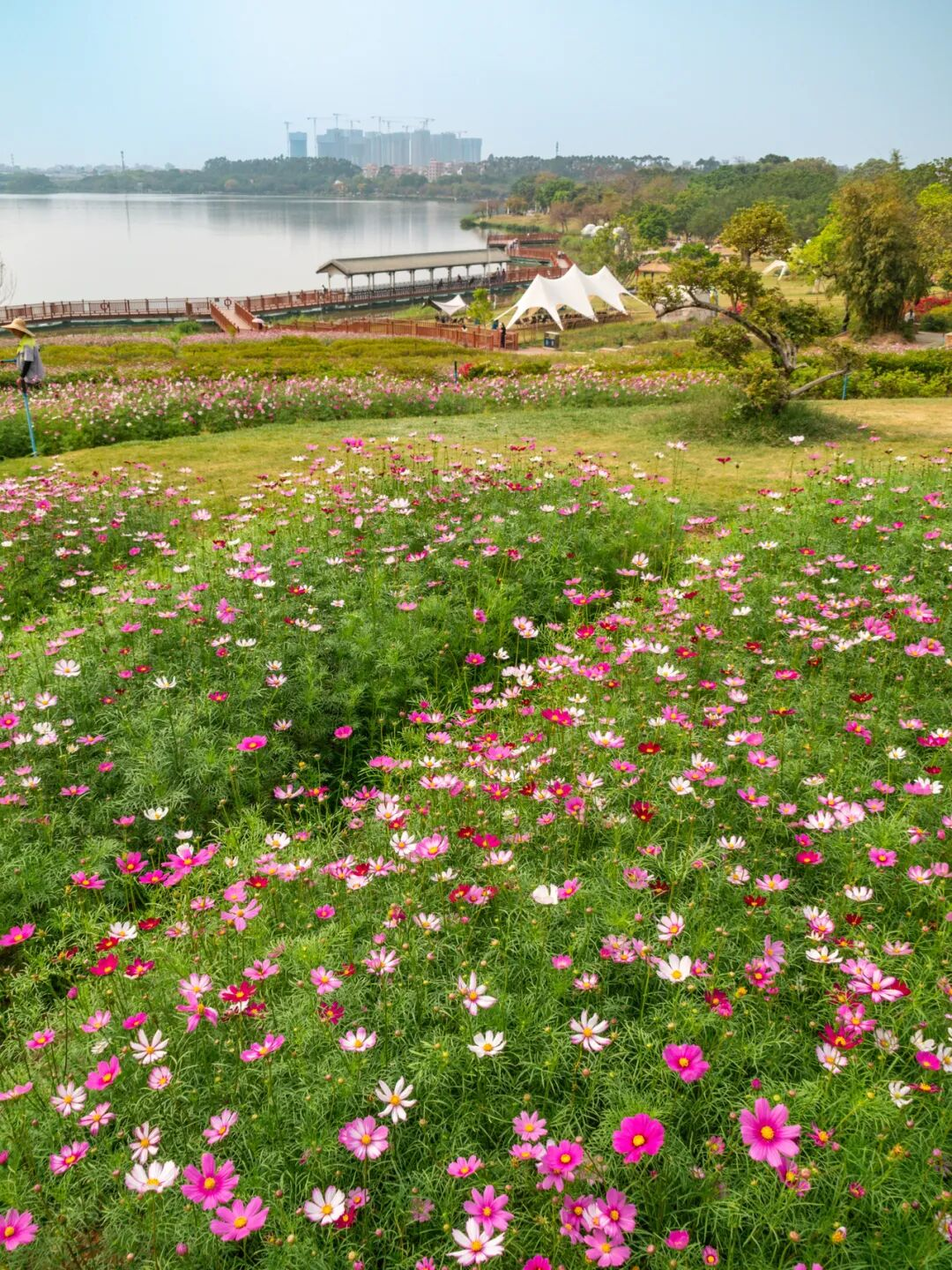 640?wx_fmt=png&from=appmsg#imgIndex=35