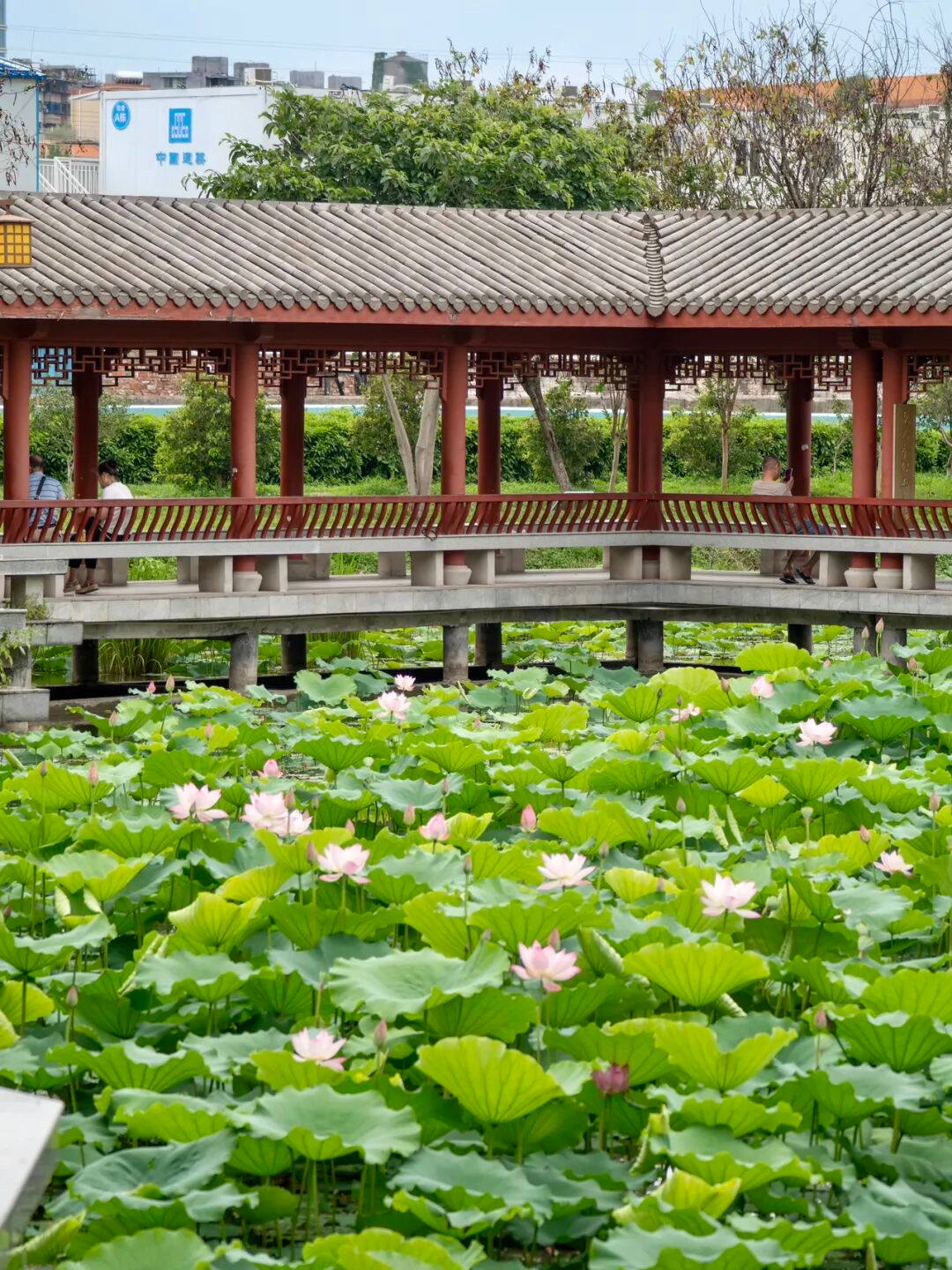 640?wx_fmt=png&from=appmsg#imgIndex=56