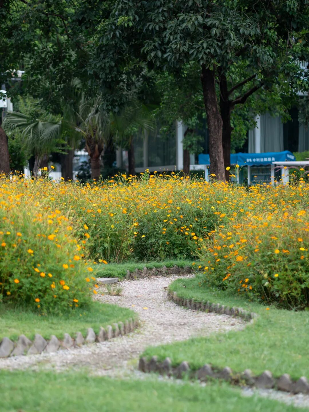 640?wx_fmt=png&from=appmsg#imgIndex=69