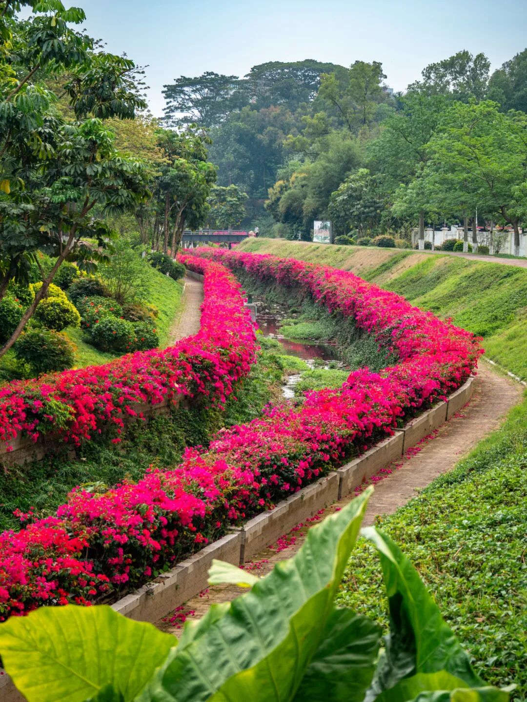 640?wx_fmt=png&from=appmsg#imgIndex=57