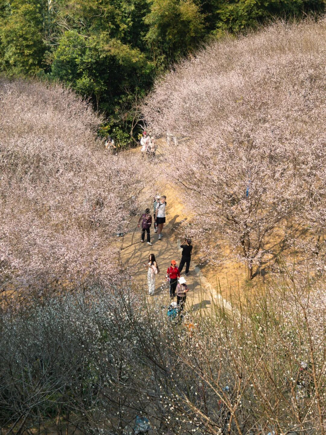 640?wx_fmt=png&from=appmsg#imgIndex=11