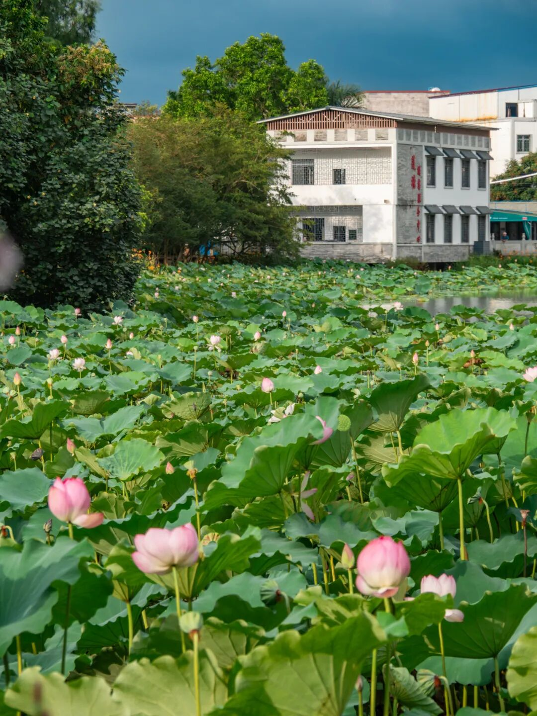 640?wx_fmt=png&from=appmsg#imgIndex=76