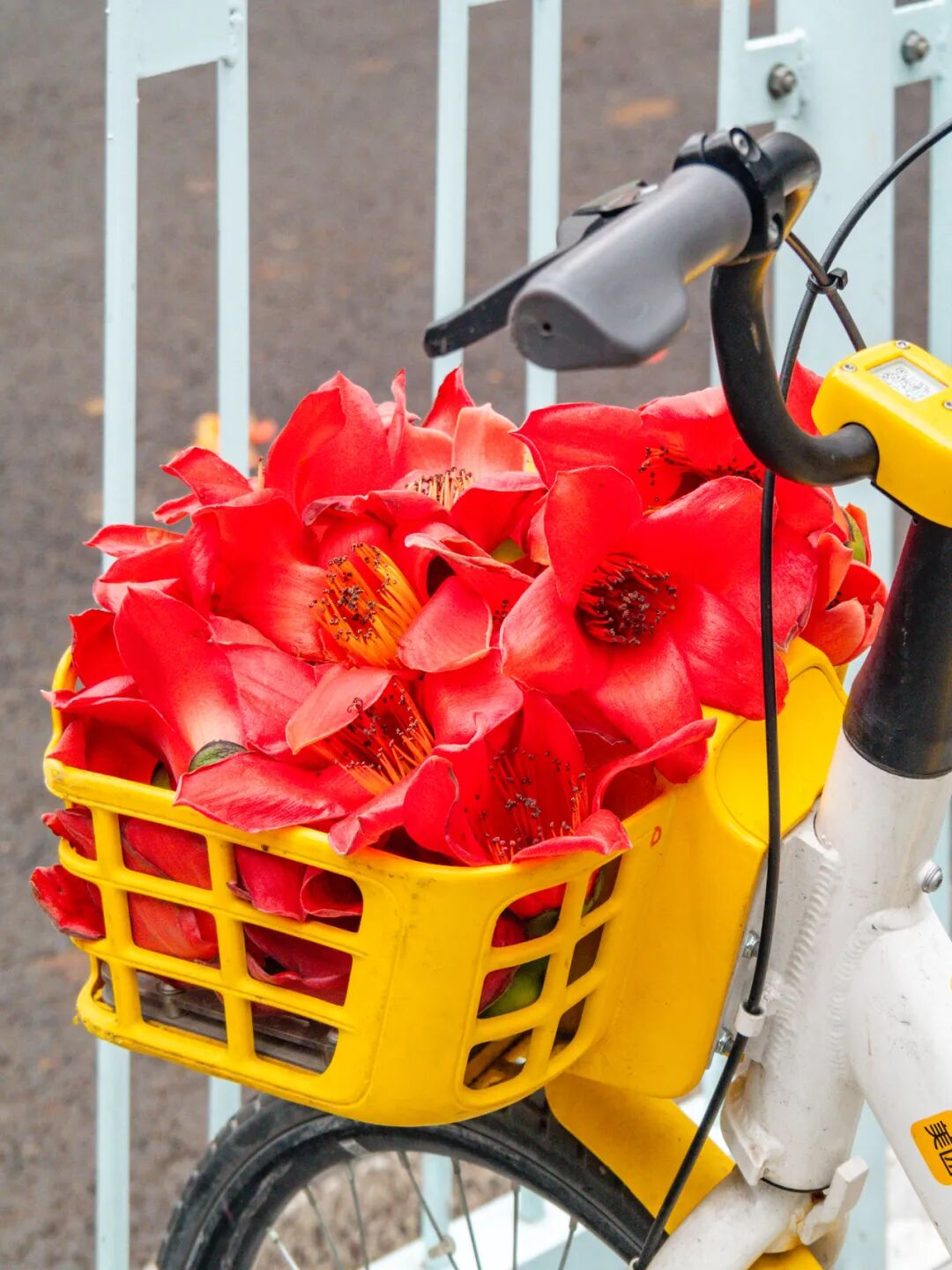 640?wx_fmt=png&from=appmsg#imgIndex=29