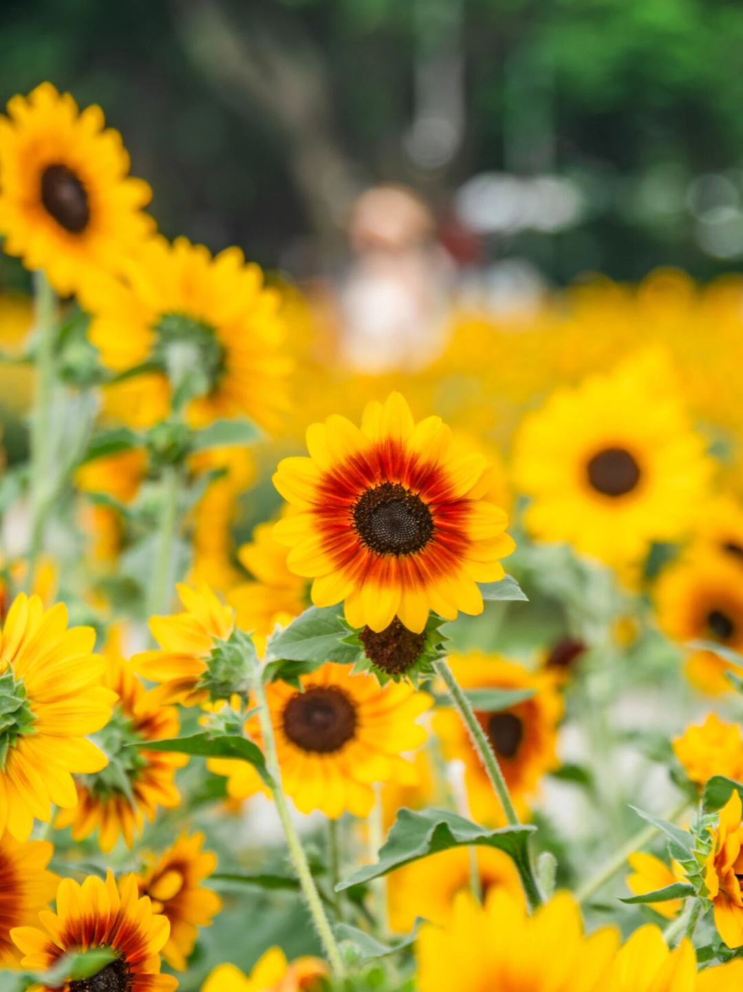 640?wx_fmt=png&from=appmsg#imgIndex=88