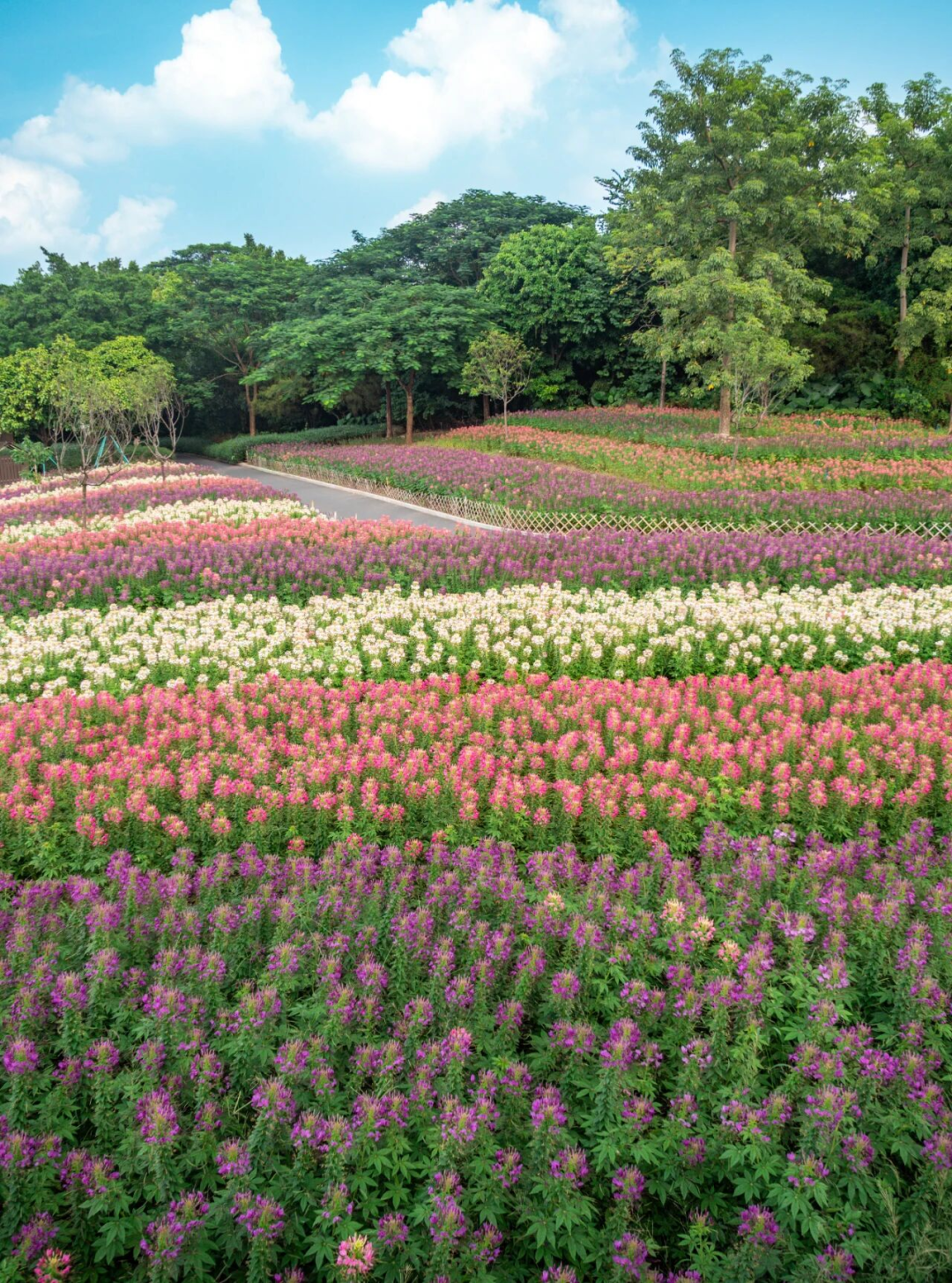 640?wx_fmt=png&from=appmsg#imgIndex=99