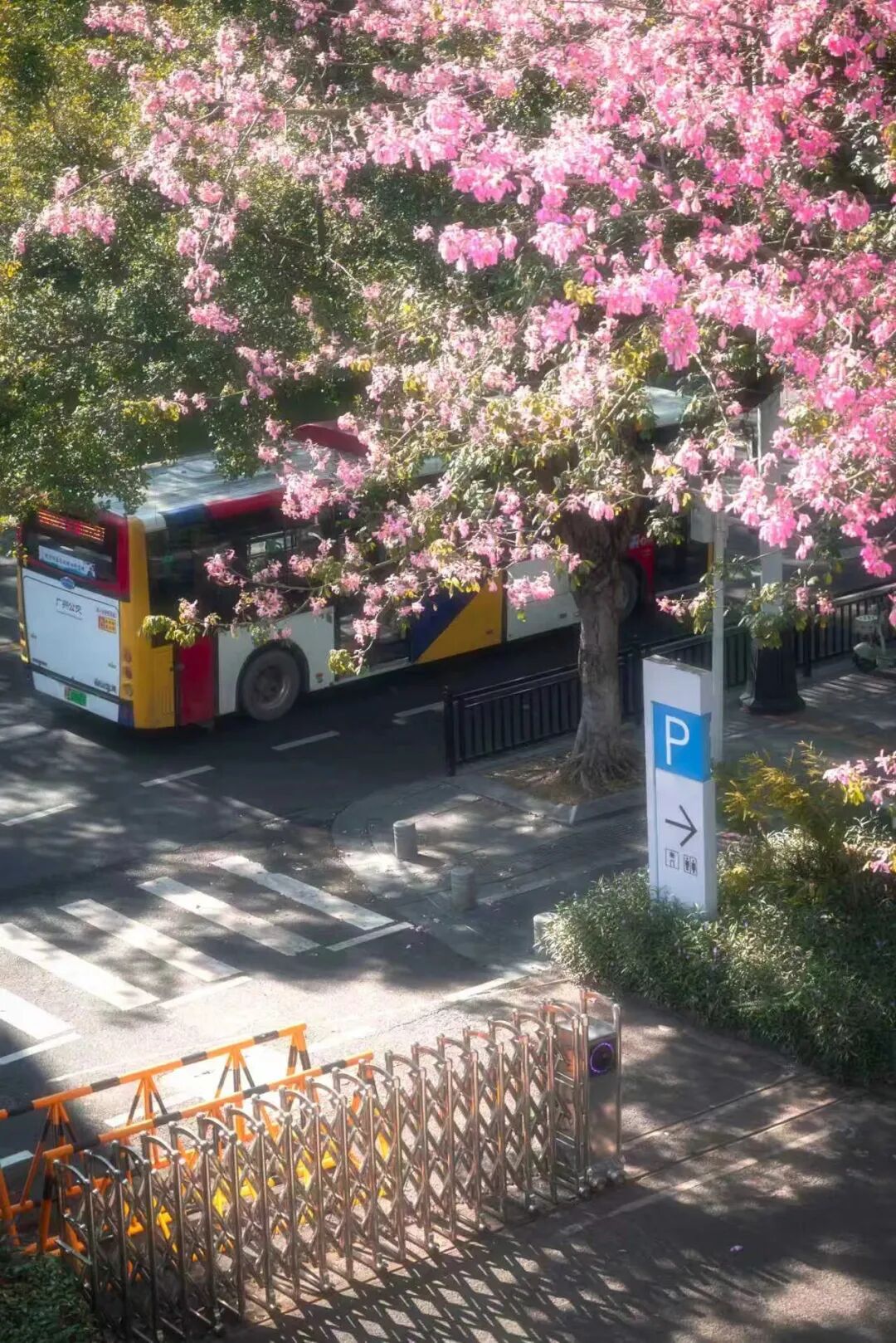 640?wx_fmt=jpeg&from=appmsg#imgIndex=2