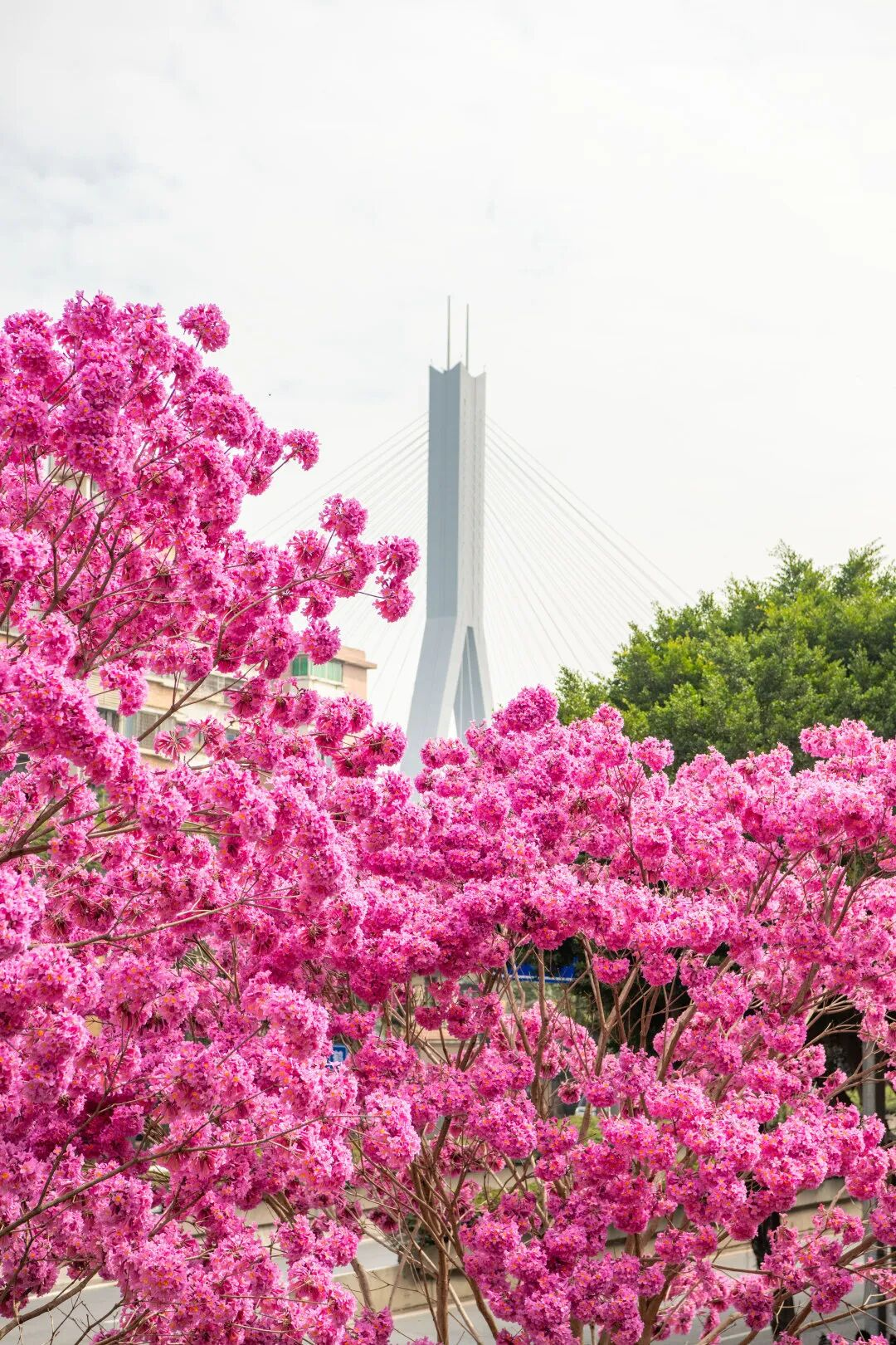 640?wx_fmt=png&from=appmsg#imgIndex=16