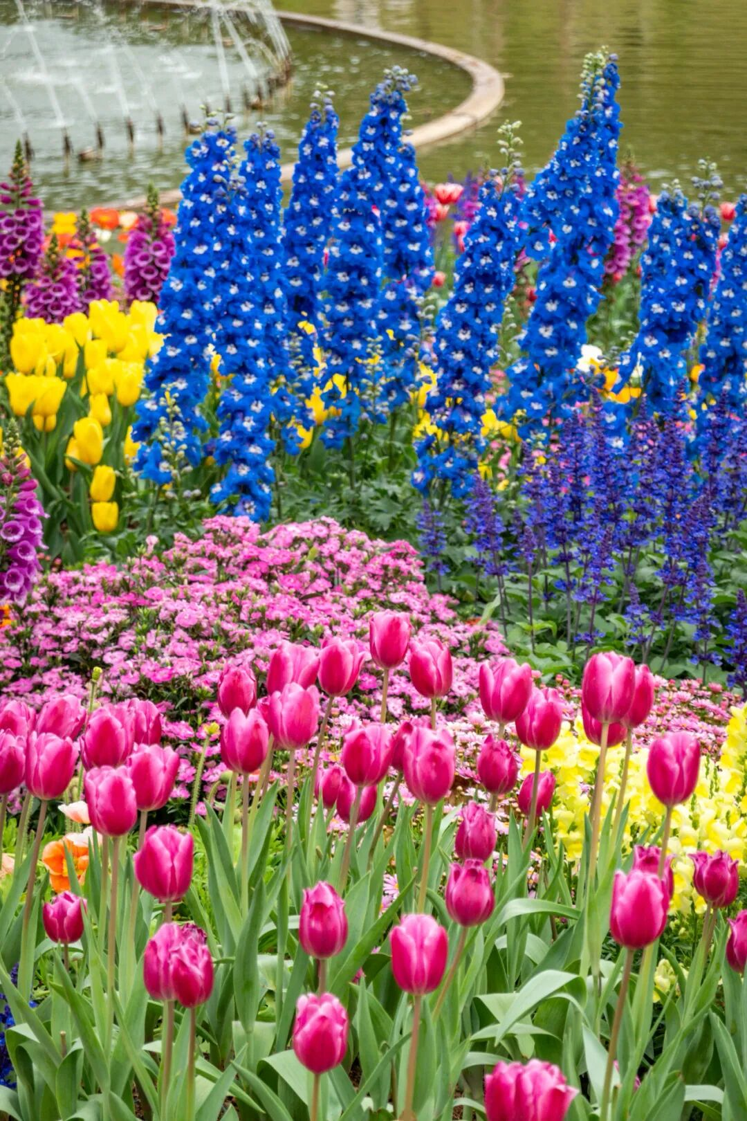 640?wx_fmt=png&from=appmsg#imgIndex=21