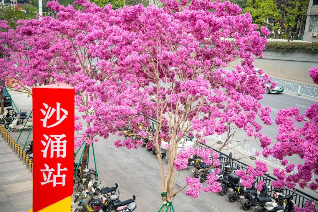 640?wx_fmt=png&from=appmsg#imgIndex=18