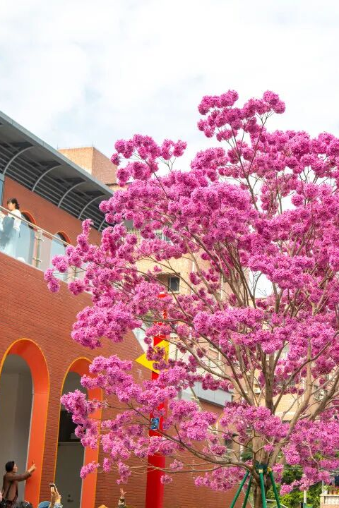 640?wx_fmt=png&from=appmsg#imgIndex=17