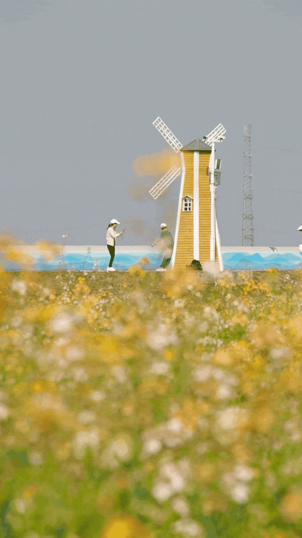 640?wx_fmt=gif&from=appmsg#imgIndex=38