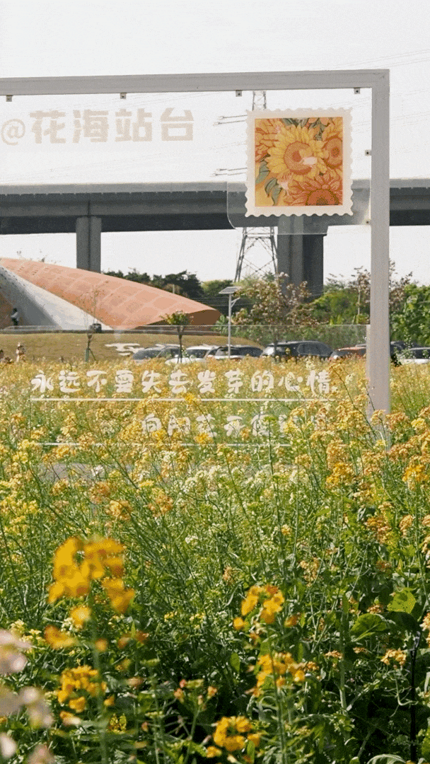 640?wx_fmt=gif&from=appmsg#imgIndex=39