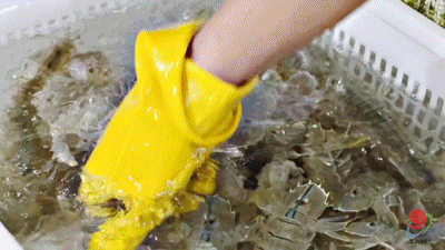 640?wx_fmt=gif&from=appmsg&tp=wxpic&wxfr