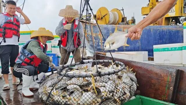 640?wx_fmt=jpeg&from=appmsg&tp=wxpic&wxf