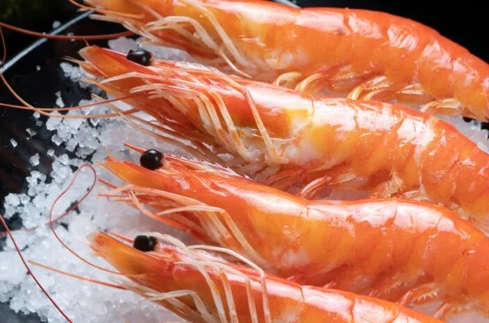 640?wx_fmt=jpeg&tp=wxpic&wxfrom=5&wx_laz