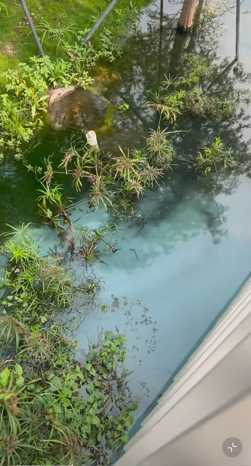 640?wx_fmt=png&from=appmsg&tp=wxpic&wxfr